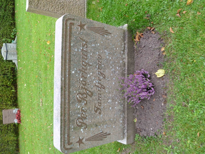 Grave number: ROG B  120, 121