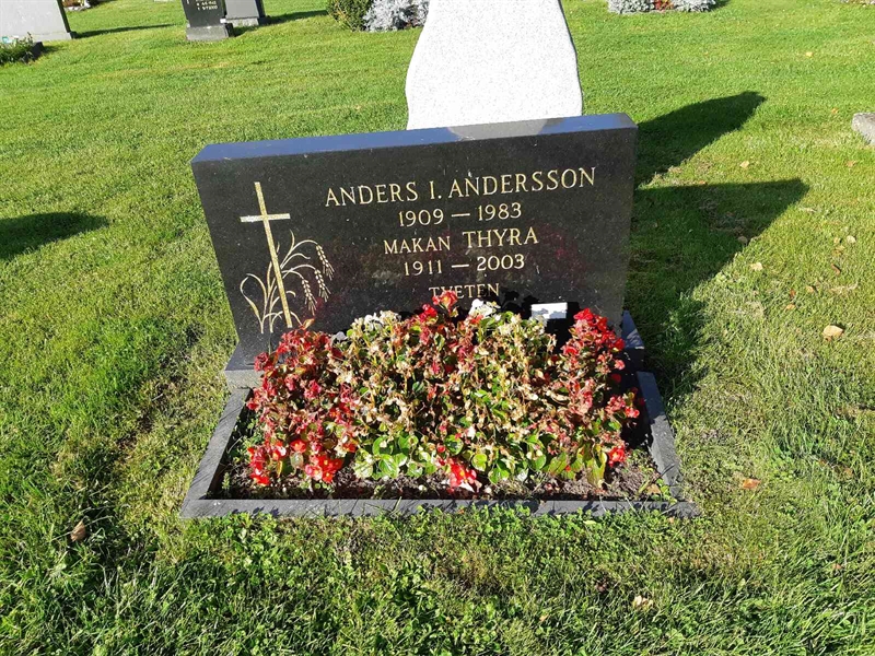 Grave number: Fr 8   382-383