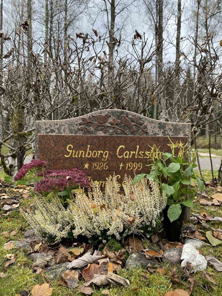 Grave number: 1 29     21