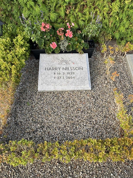 Hautatunnus: NK Urn n     3