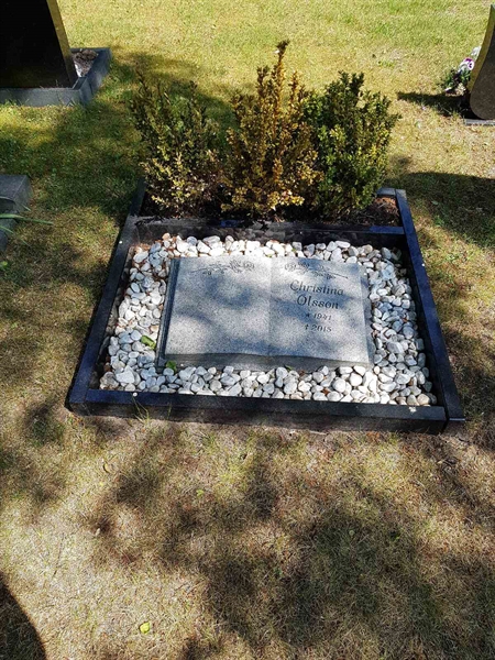 Grave number: 01 11006