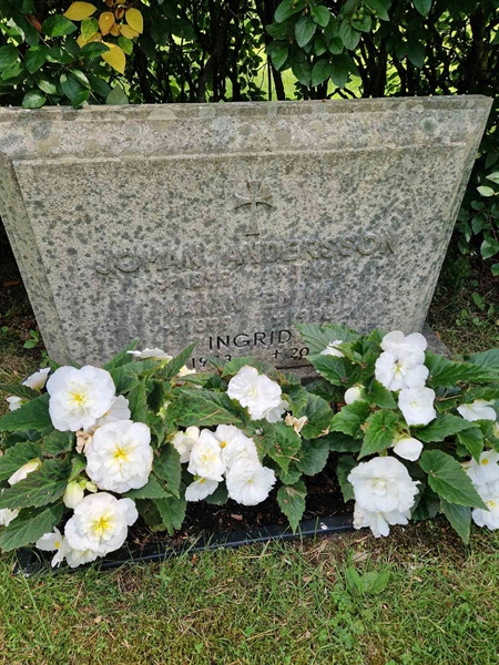 Grave number: 1 KV.4   205-206