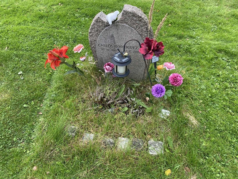 Hautatunnus: 2 C   593