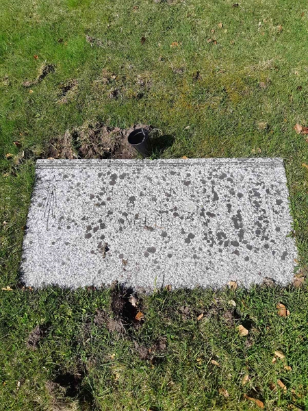 Grave number: 2 I   101-102