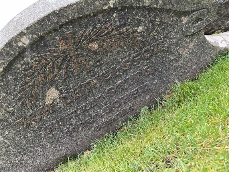 Hautatunnus: Vårv Kv3 206-208