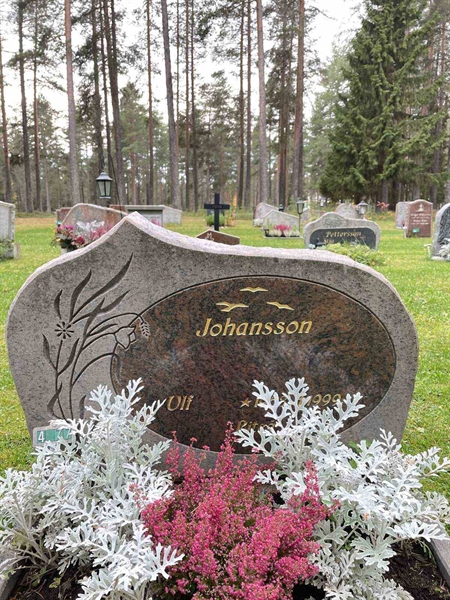 Grave number: 3 4    77