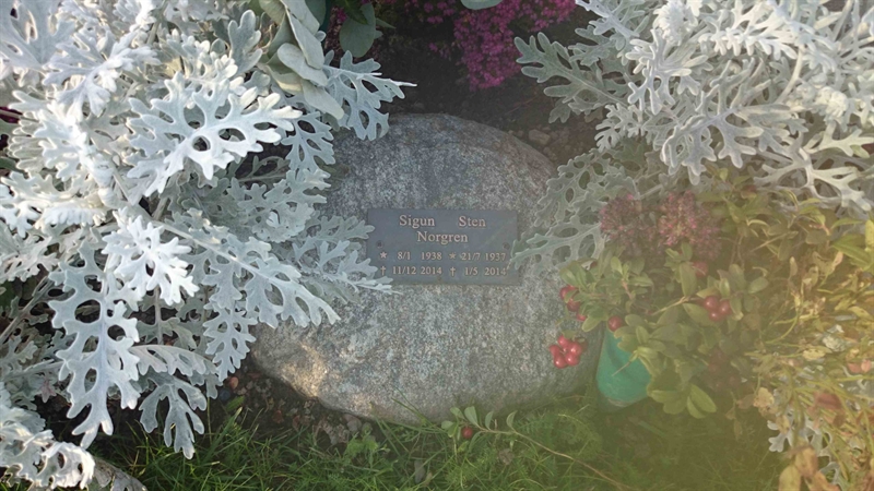 Grave number: 3 FU    71