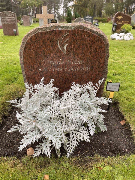 Gravnummer: 2 C   293-294