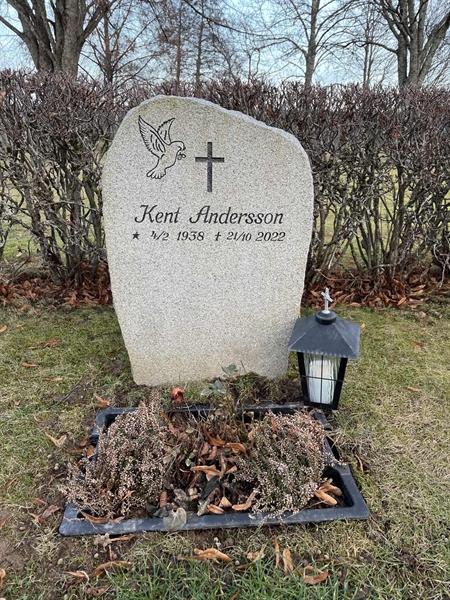 Hautatunnus: Vårv Kv5    97