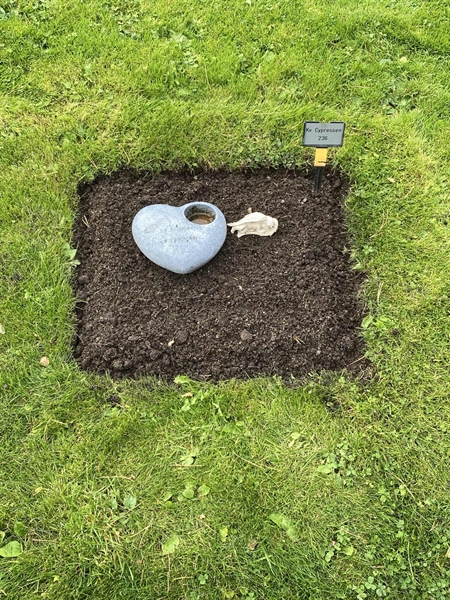 Grave number: 2 C   236