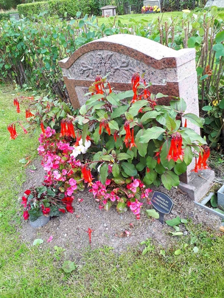 Hautatunnus: NK F C   141-142