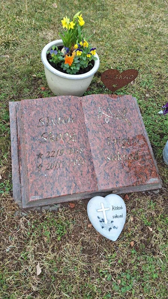 Hautatunnus: VG B   133