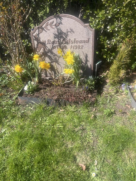 Grave number: 1 3 F1 239