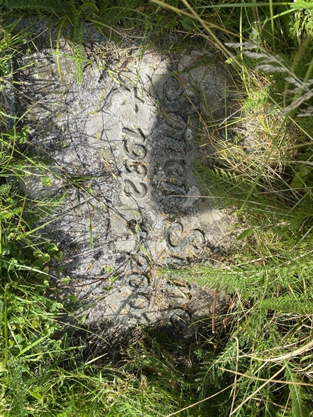 Grave number: 1 17 101, 102