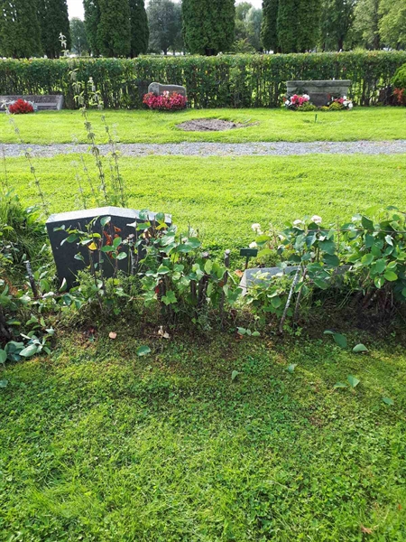 Hautatunnus: NK F C    55-56