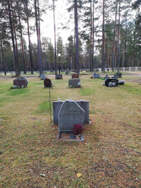 Hautatunnus: VLM 15    57-58