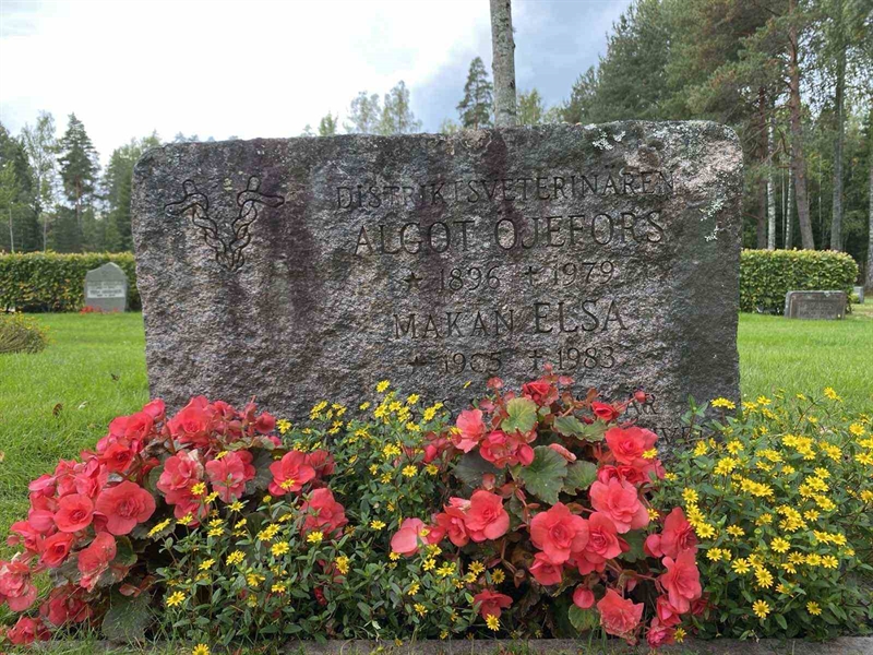 Hautatunnus: 1 19    175, 176