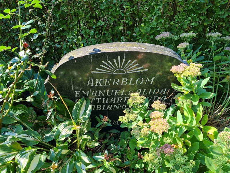 Grave number: Ö III  163