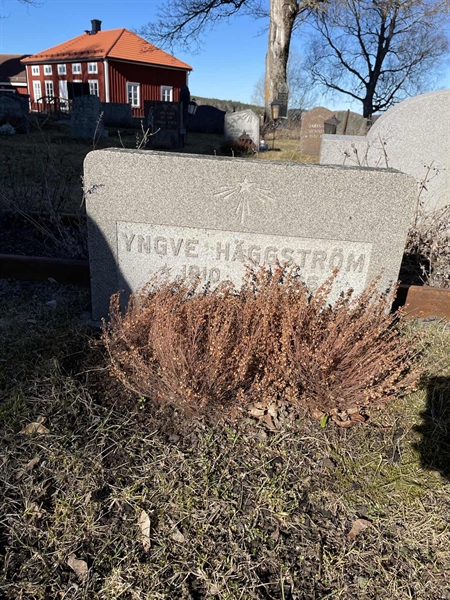 Hautatunnus: H 3 68