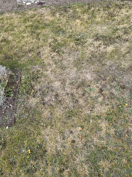 Grave number: NK XVI:u    35