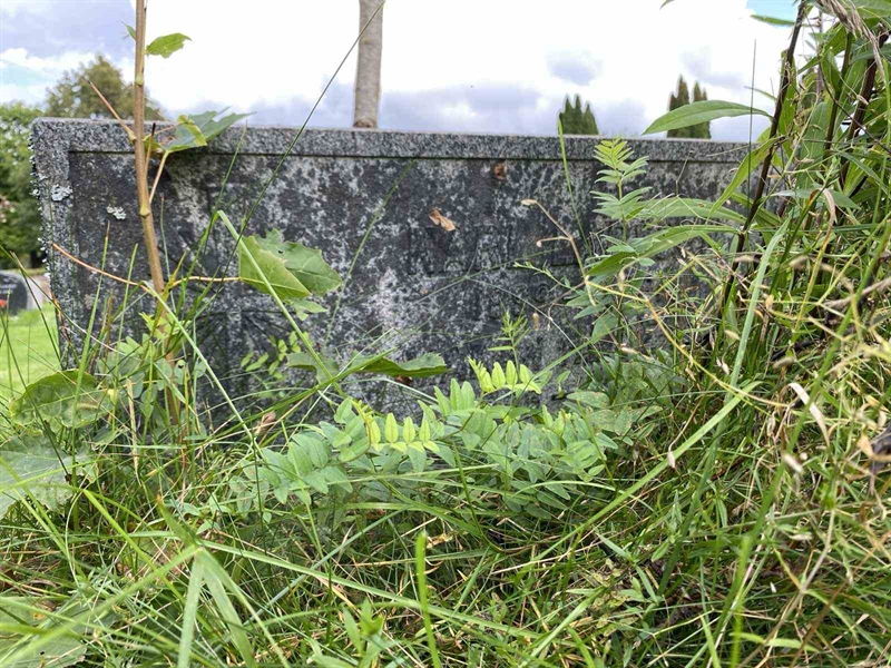 Grave number: 1 19    135, 136