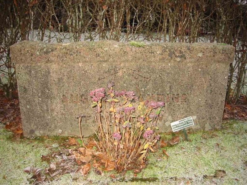 Grave number: KV 3   185-187
