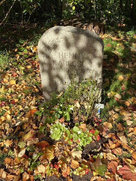 Gravnummer: 1 H   235