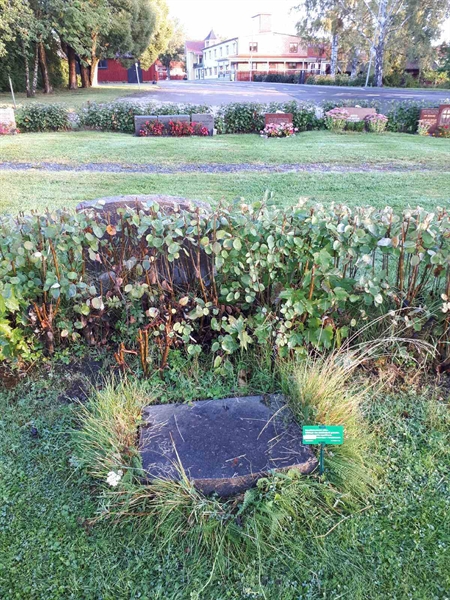 Hautatunnus: NK F B    30