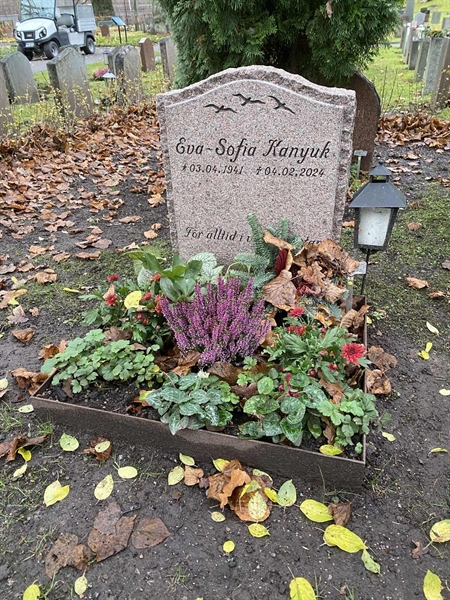 Gravnummer: 1 F   240