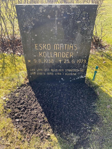 Hautatunnus: 1 05    207