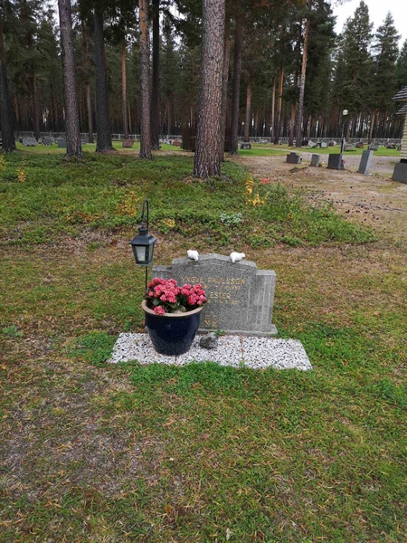 Hautatunnus: VLM 07    11:1-2