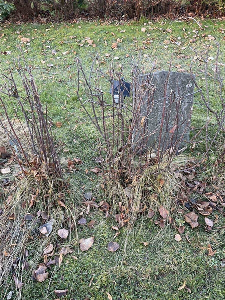 Gravnummer: GK A 3   492