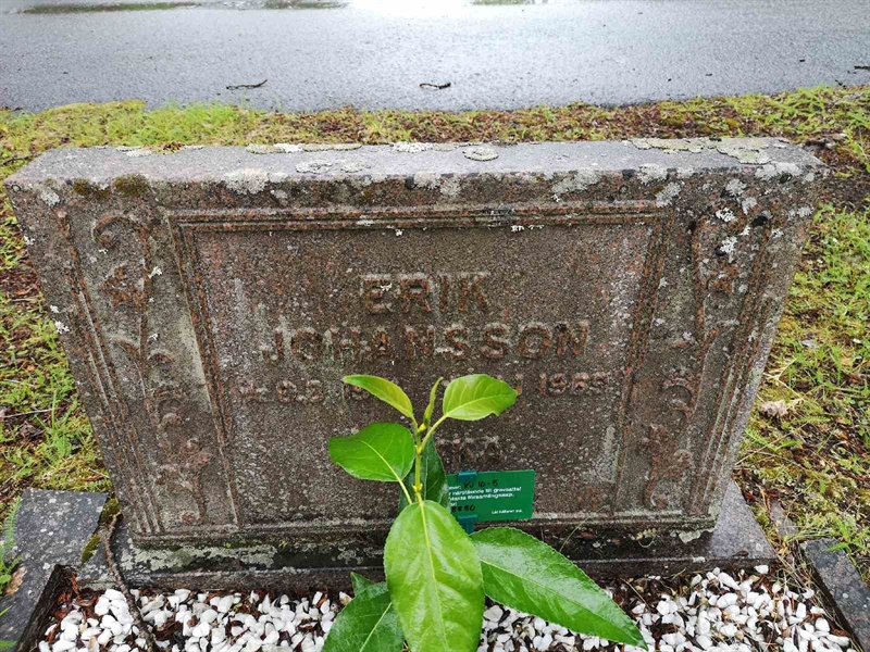Grave number: NK 10     5