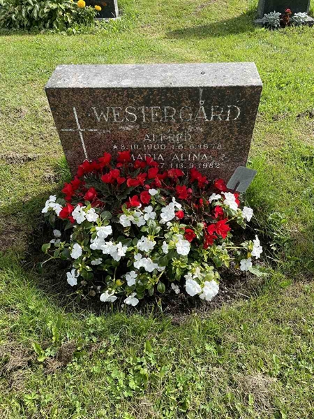 Grave number: N 4 1    30