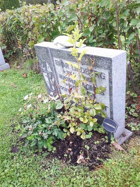 Grave number: NK F B    13