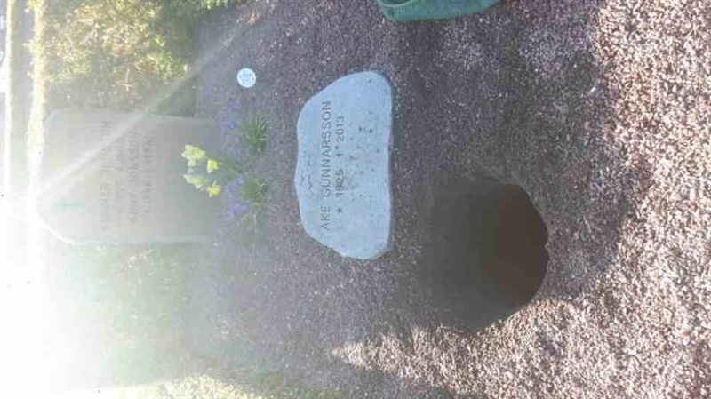 Grave number: sv  1180