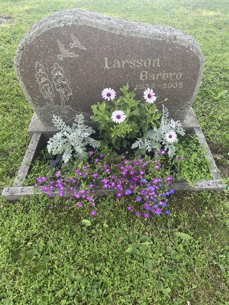 Grave number: H 8    77-78