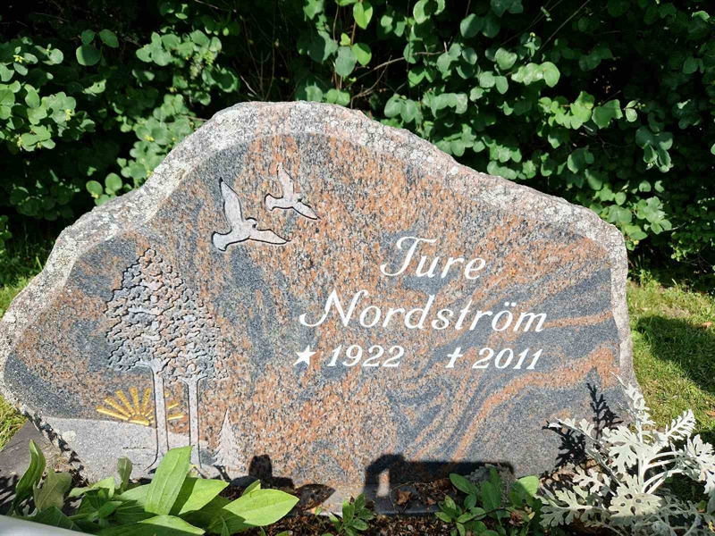 Hautatunnus: 452 20 518