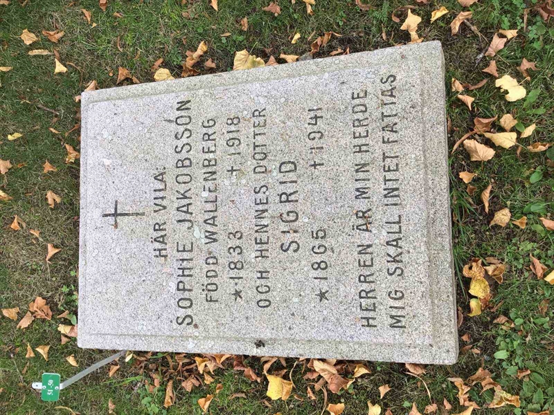 Hautatunnus: Led    50-51