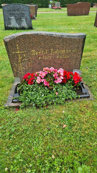 Hautatunnus: M N 15 13