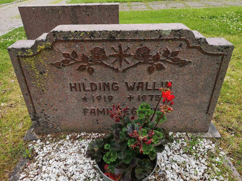 Hautatunnus: NK 09    46