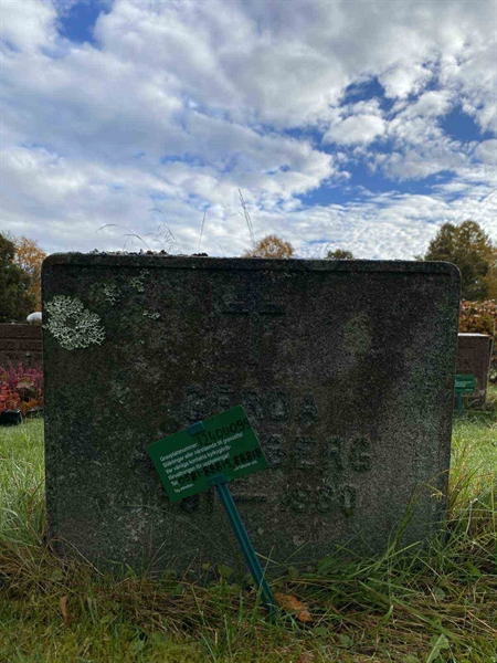 Grave number: 1 24     99