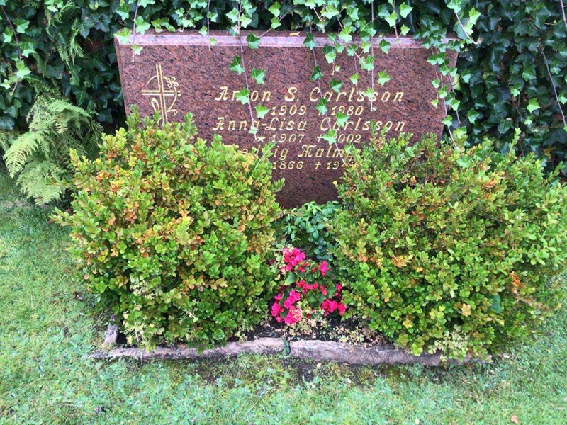 Grave number: 20 G    82-84