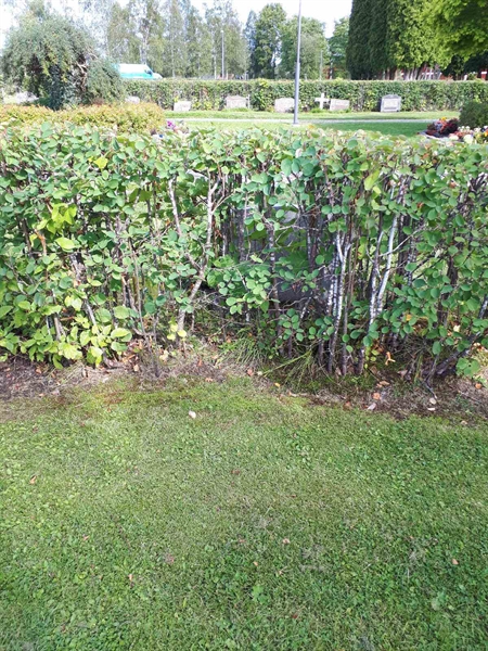 Gravnummer: NK F A   133