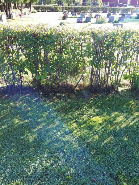 Grave number: NK F B    62