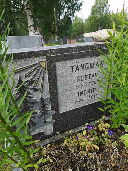 Hautatunnus: NK 17    35