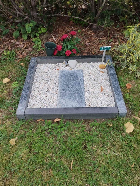Grave number: NÅ 31    14