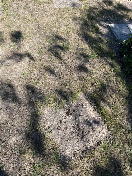 Grave number: NK I:u   335