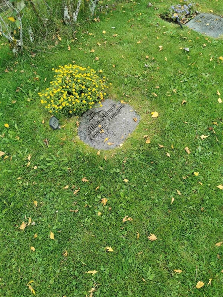 Grave number: F NYA  1676