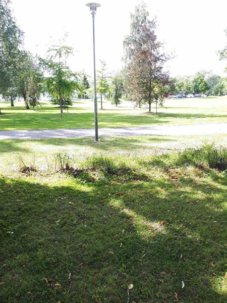 Gravnummer: GK F 4   351